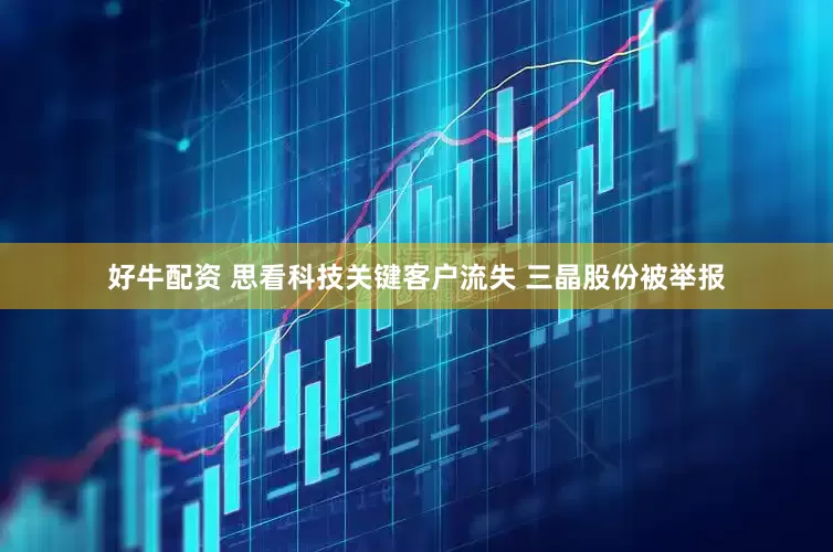 好牛配资 思看科技关键客户流失 三晶股份被举报