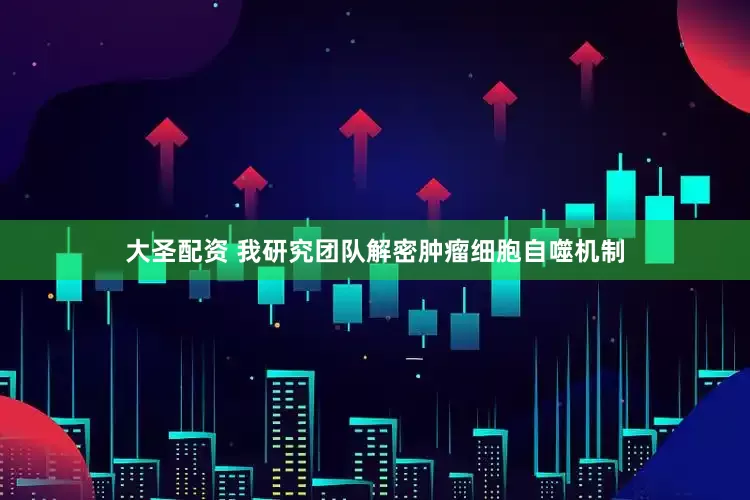 大圣配资 我研究团队解密肿瘤细胞自噬机制
