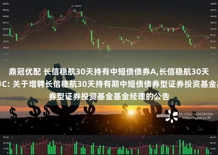 鼎冠优配 长信稳航30天持有中短债债券A,长信稳航30天持有中短债债券C: 关于增聘长信稳航30天持有期中短债债券型证券投资基金基金经理的公告