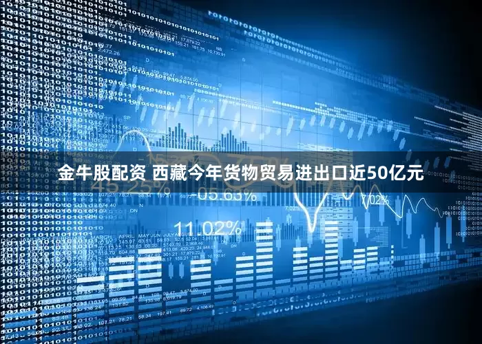 金牛股配资 西藏今年货物贸易进出口近50亿元