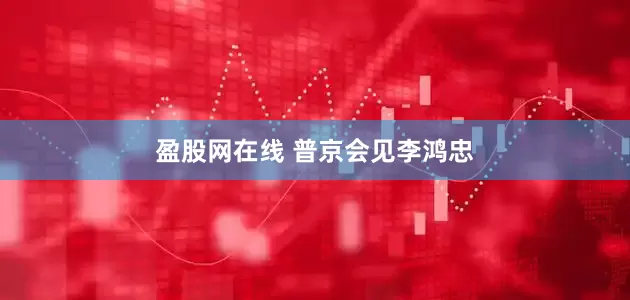 盈股网在线 普京会见李鸿忠